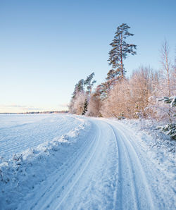 A beautiful, calm winter landscape in the rural area of latvia, northern europe. 