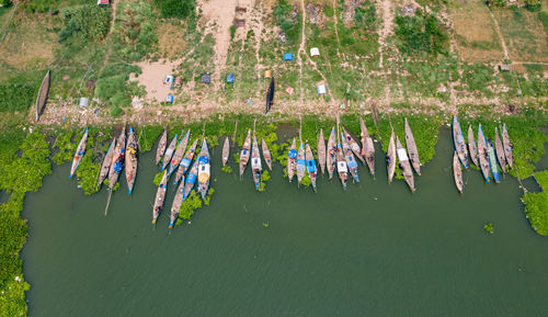 High angle view of plants hanging on land by lake