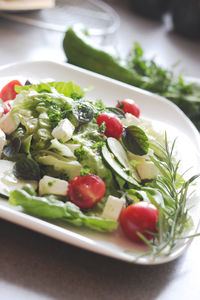 Close-up of salad in plate