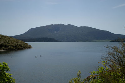 water
