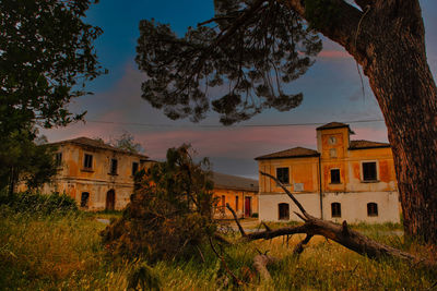 Buildings and trees on field against sky