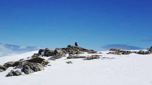 People on snowcapped mountain against clear blue sky