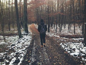 Rear view of woman walking in forest during winter