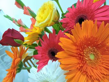 Close-up of yellow flowers blooming outdoors