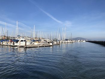 Sailboats moored in harbor