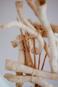 Close-up of wood tied up against white background