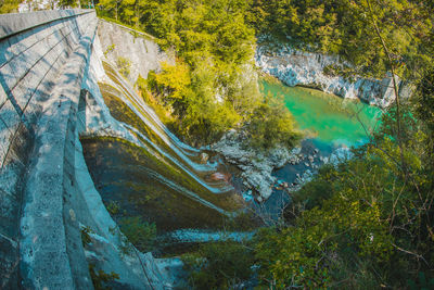 High angle view of trees