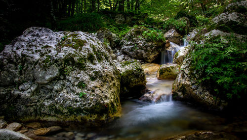 Stream flowing through rocks in forest