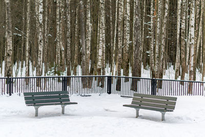 Empty benches on snow covered landscape