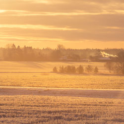 A beautiful, bright, colorful landscape of a winter sunrise. bright sky and first snow. 