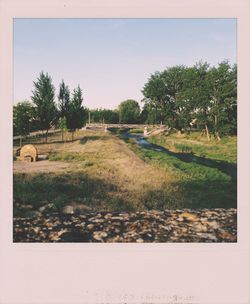 Scenic view of grassy field against sky