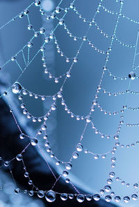 Close-up of spider web against sky