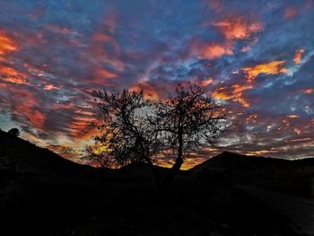 Silhouette tree on landscape against orange sky