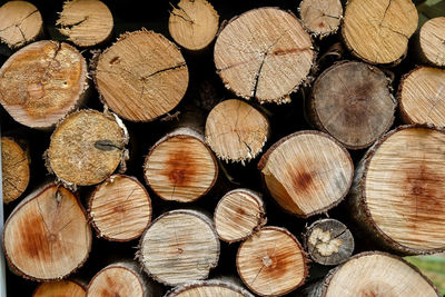 Full frame shot of logs in forest