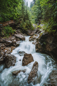 Scenic view of waterfall in forest