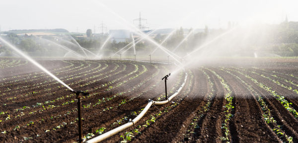 Watering crops in western germany with irrigation system using sprinklers in a cultivated field.