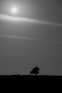 Silhouette trees on field against sky at night