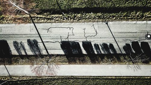 Plants growing outdoors