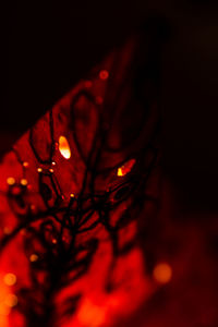 Close-up of illuminated light bulb on table