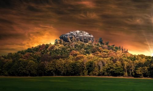 Scenic view of trees against sky during sunset