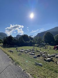 Scenic view of landscape against sky on sunny day