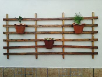 Potted plants mounted on wall