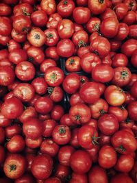 Full frame shot of tomatoes for sale at market stall