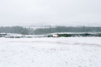 Scenic view of landscape against sky during winter