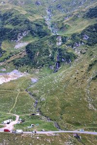 High angle view of plants on land