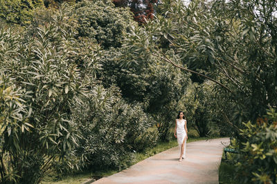 An elegant young woman bride in a wedding dress walks through a green park among plants and trees