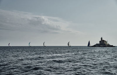 Birds flying over sea against sky