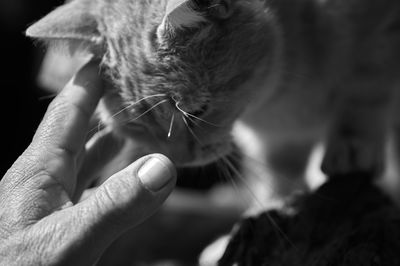 Close-up of man hand