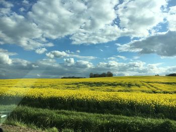 Scenic view of field against cloudy sky