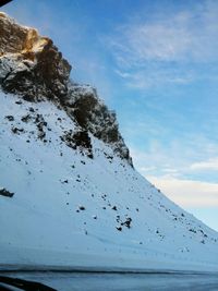 Low angle view of tree against sky
