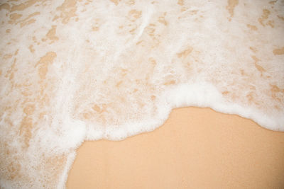 Close-up of person on sand at beach