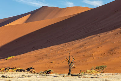 Scenic view of desert against sky