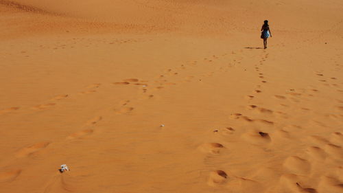 High angle view of man walking on beach
