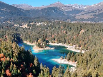 High angle view of lake in forest