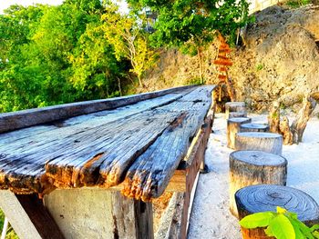 Weathered wooden wall by trees in forest