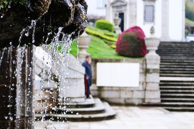 People standing by fountain against plants