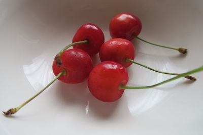 High angle view of cherries against white background