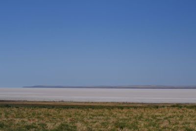 Scenic view of field against clear blue sky