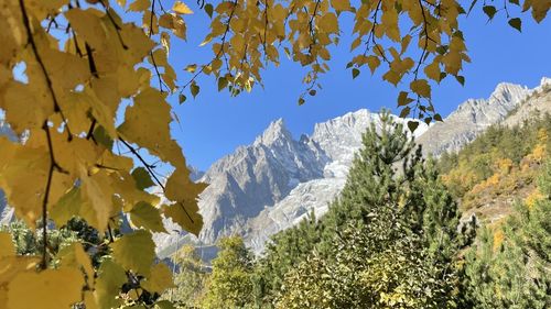 Scenic view of snowcapped mountains against clear sky