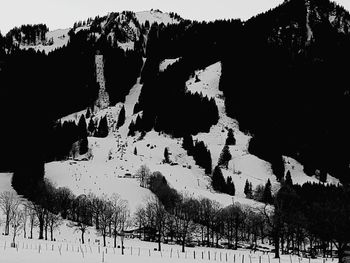 Trees on snow covered field against sky