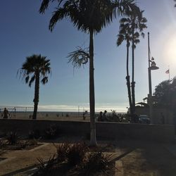 Palm trees on beach against clear sky