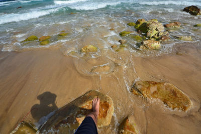 Low section of person standing on shore