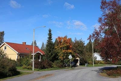 Road amidst trees and buildings against sky during autumn
