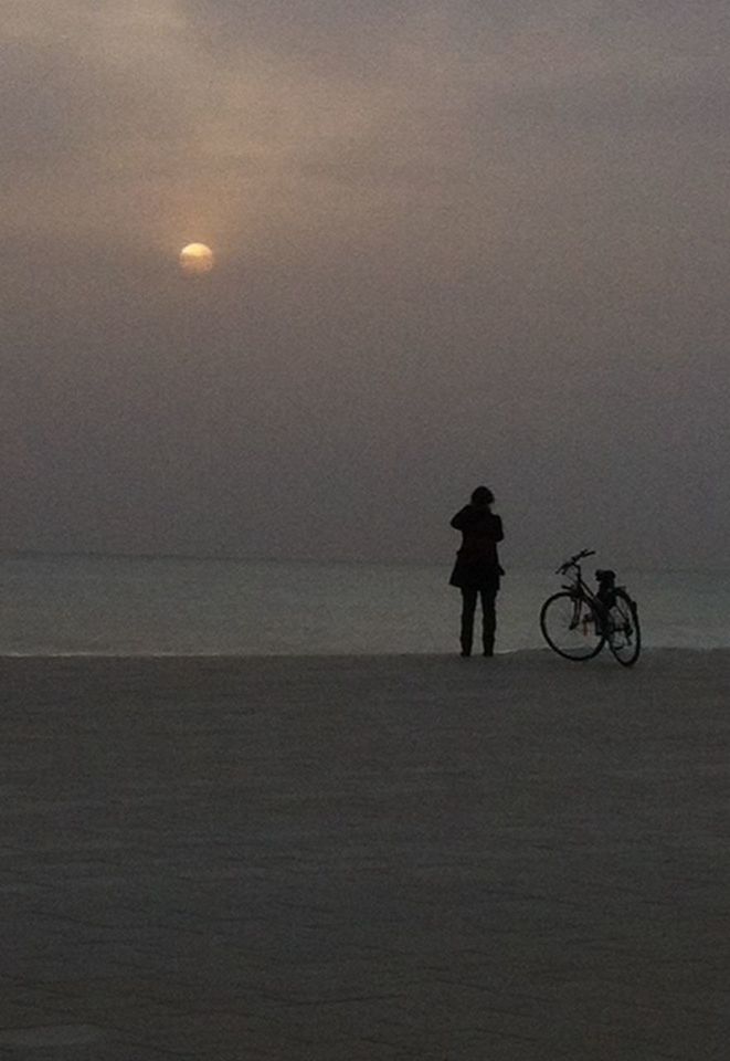 full length, lifestyles, leisure activity, silhouette, men, walking, sea, standing, beach, sunset, rear view, copy space, sky, bicycle, horizon over water, person, dusk