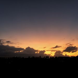 Silhouette of trees at sunset