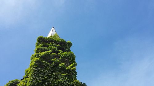 Low angle view of tower covered with ivy against sky on sunny day